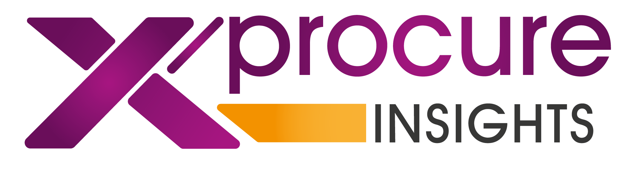 XP insights logo XP insights logo